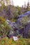 Taiga forest with megalithic seid boulder stones, dead trees on mountain Vottovaara, Karelia, Russia