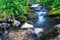 Taiga. Siberia. Mountain stream. Parking near Parabola. Photograph with long shutter speed.