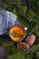 Taiga tea with orange and spices, winter or autumn cozy background, fir tree, copy sopace.