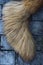 tail of a Ñaucasian red sheepdog jpg