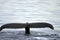 Tail fin of a gray whale in Atlantic