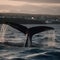 Tail fin of the mighty humpback whale (Megaptera novaeangliae) seen from the boat. Generative ai