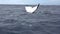 Tail of humpback whale above water surface and underwater video frame.