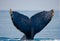 The tail of the humpback whale. Madagascar. St. Mary`s Island.
