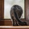 Tail Of A Kitten On A Blurred Background. The Kitten Looks.