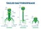 Tailed bacteriophage vector illustration. Labeled virus educational scheme.