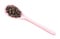 Tailed pepper cubeb in ceramic spoon isolated