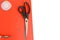 Tailoring scissors and pins on a red background. Free space for