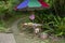 Taipei, Taiwan, country, no one, self-service, fruit and vegetable vendors, donate