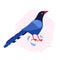 The Taiwan blue magpie. Animals of Taiwan. Urocissa caerulea. Cute blue bird in hand drawn vector. Vector flat illustration in