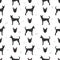 Taiwan dog seamless pattern. Different poses, coat colors set