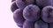 Taiwan, fruit, Kyoho grapes, purple grapes, grapes