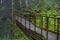 Taiwan, Yilan County, Taiping Mountain, Jianqing Ancient Road, trail, bridge crossing the river