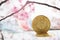 Taiwanese money with sakura background