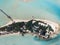 Taj Exotica, Emboodhu Finholoo, South Male Maldives, aerial of n