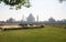 Taj Mahad in Agra, India