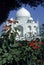 Taj Mahal, framed by pointsettias,