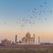 Taj Mahal with sunset and birds flying