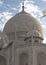 taj mahal tomb with flying pigeons