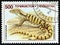 TAJIKISTAN - CIRCA 1995: A stamp printed in Tajikistan from the `Native Lizards ` issue shows Transcaspian desert monitor Varanus