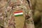 Tajikistan flag on soldiers arm collage