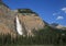 Takakkaw Falls with Forest
