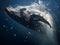 Take a breathtaking shot of a magnificent humpback whale