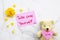 Take care yoursalf message card handwriting with yellow flowers cosmos ,teddy bear love