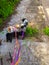 take the dog for a walk down the road. Three dogs enjoying a walk.