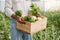 Take your pick, theyre all delicious. Closeup shot of an unrecognisable man holding a crate of fresh produce while