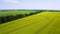 Takeoff and rise of a quadcopter over a field of flowering rapeseed.