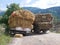 Taking over overloaded trucks transporting hays on georgian road