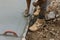 Taking a steel trowel edger and smoothing out a couple of plastering strokes on freshly poured concrete, a worker holds