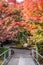 Tale of Genji Museum in Autumn leaves