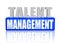 Talent management in 3d letters and block