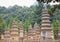 Talin Buddhist Pagoda Forest China