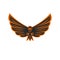 Talisman flying eagle logo bird of prey with widely spread wings and aggressive gaze, black and orange emblem print of a hawk