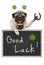 Talisman pug puppy dog, with blackboard sign, shamrock clover, golden coins, lady bug and horse shoe for good luck and success