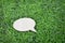 Talk bubble speech icon. Design elements on grass background