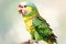 A talkative and social parakeet chirping and singing, chirping and singing to communicate with its owner or other birds.