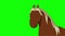 Talking Brown horse chroma key