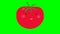 a talking drawn tomato with eyes or a vegetable on a chromakey green background for inserting a voice