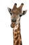 Talking Giraffe