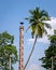 Tall ancient stone lamp post near Pattadakal heritage temples