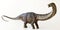 A Tall Apatosaurus Dinosaur, or Deceptive Lizard