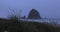 Tall beach grass swaying to breeze in front of Haystack rock at Oregon coast,