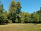 Tall bird house with green grass and trees