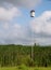 Tall birdhouse and distant windmill in the wild grasses