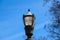 A tall black lamp post surrounded by bare winter trees with clear blue sky in the Marietta Square