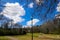 A tall black lamp post surrounded by bare winter trees and lush green trees with people walking along a smooth footpath